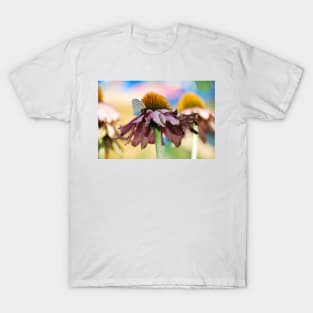 Echinacea Purpurea with Small Butterfly T-Shirt